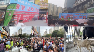 抽奖盛宴，共绘商业新篇章